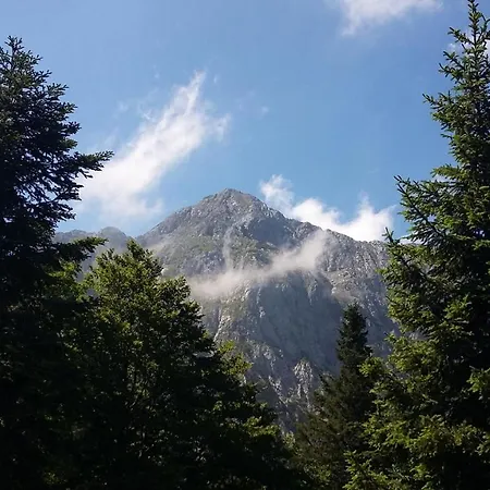 Tourist Farm Storman With Ev Ch-station