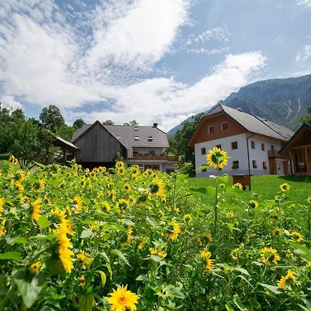 Bivanje na kmetiji Tourist Farm Storman With Ev Ch-station *