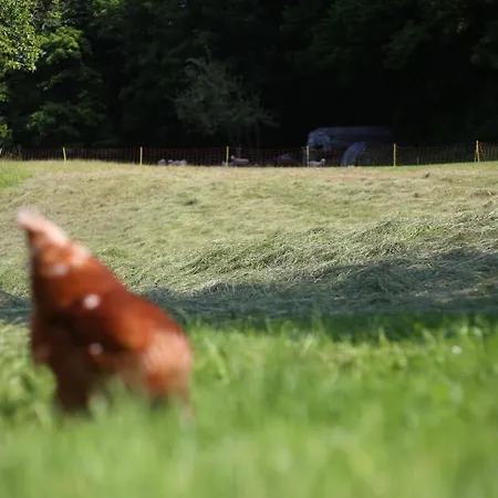Tourist Farm Storman With Ev Ch-station * Tržič