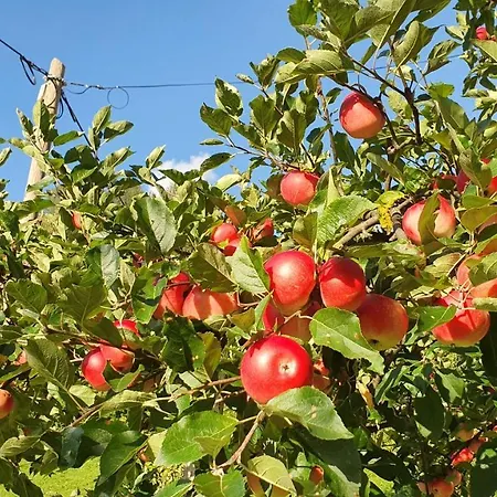 Tourist Farm Storman With Ev Ch-station *