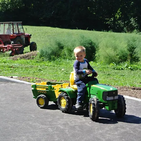 Smještaj na farmi Tourist Farm Storman With Ev Ch-station Trzic