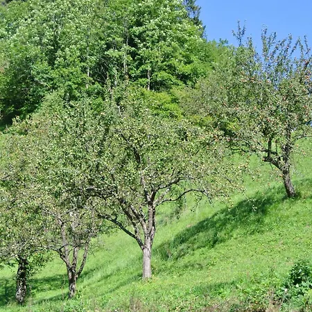 Tourist Farm Storman With Ev Ch-station Lantgård