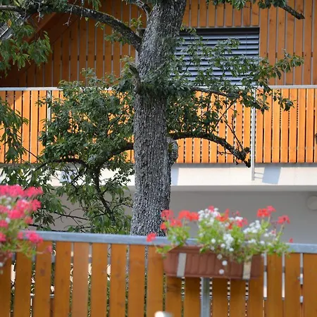 Tourist Farm Storman With Ev Ch-station Lantgård Tržič