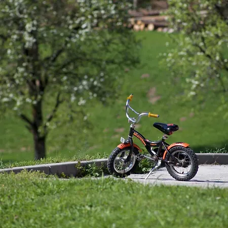 Tourist Farm Storman With Ev Ch-station Lantgård Tržič