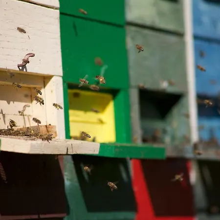 Tourist Farm Storman With Ev Ch-station *