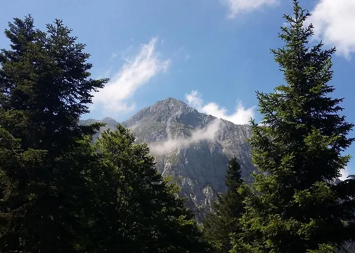 Tourist Farm Storman With Ev Ch-station
