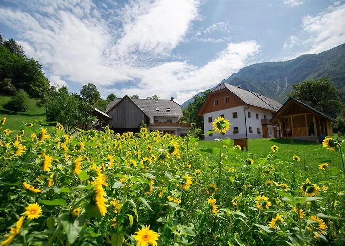 Κατάλυμα σε φάρμα Tourist Farm Storman With Ev Ch-station *