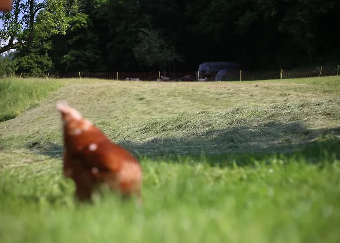 Tourist Farm Storman With Ev Ch-station * Tržič