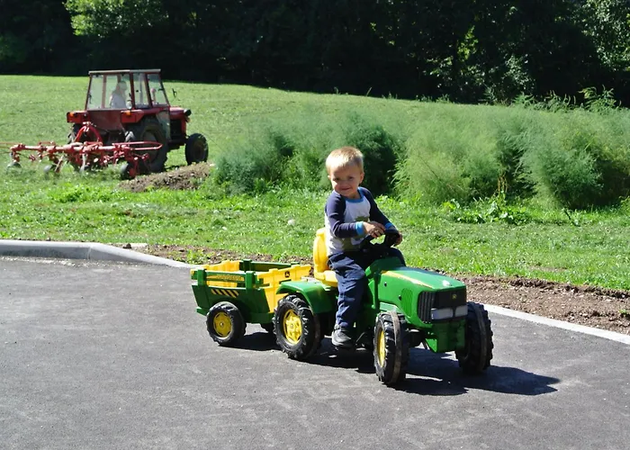 Farma Tourist Farm Storman With Ev Ch-station Tržič