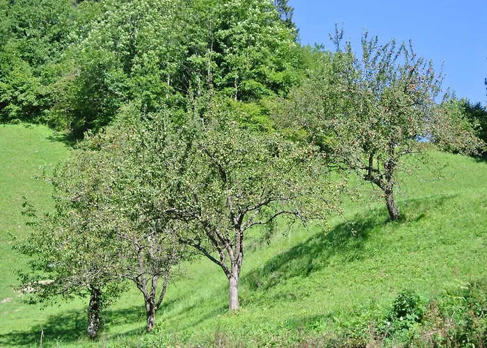 Tourist Farm Storman With Ev Ch-station Κατάλυμα σε φάρμα