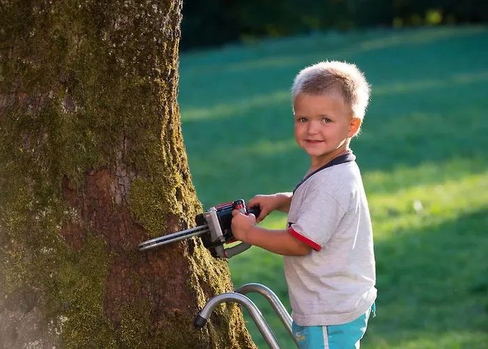 Tourist Farm Storman With Ev Ch-station