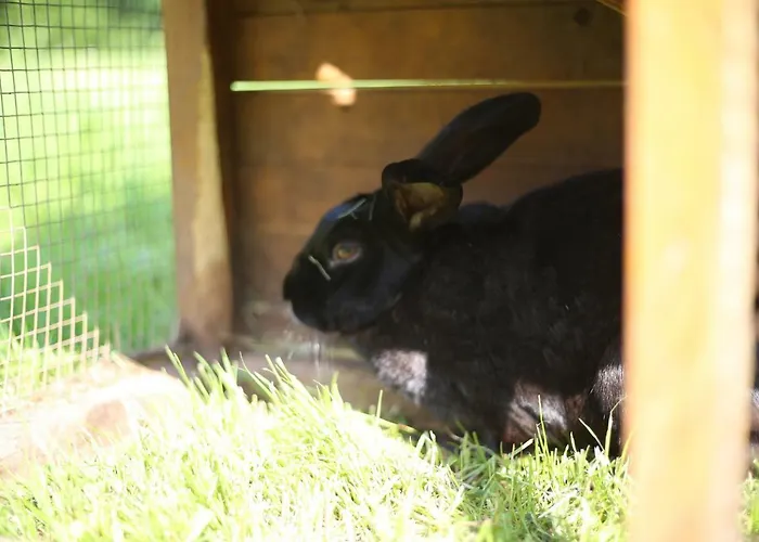 农家乐 Tourist Farm Storman With Ev Ch-station Tržič