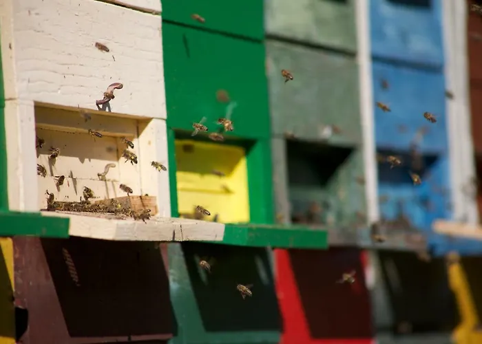 Tourist Farm Storman With Ev Ch-station *